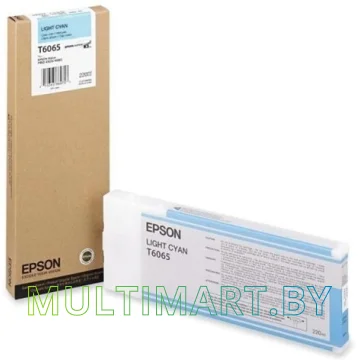 Картридж Epson C13T606500 картинка 3